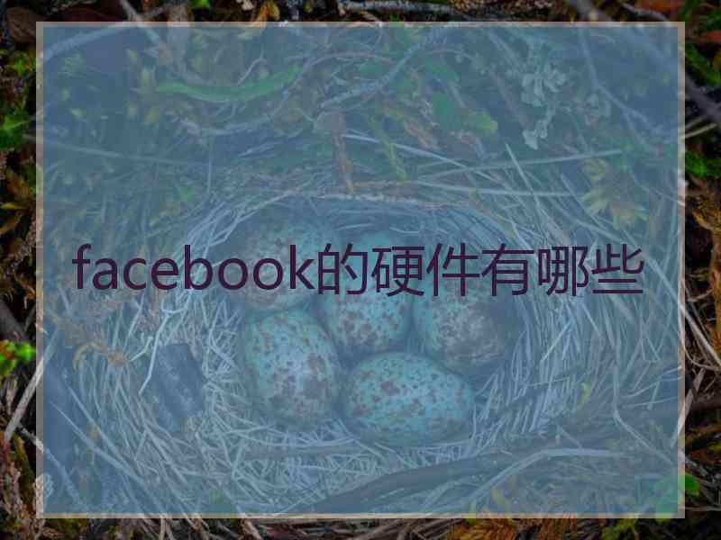 facebook的硬件有哪些